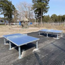 Bordtennisbord utomhus