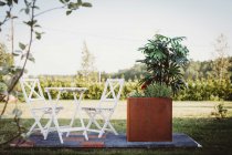 utekruka clara XL för ute plantering