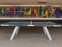 Pingisbord utomhus i standardmått