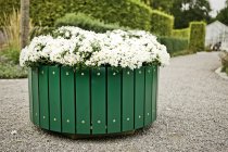 Farthinder, planteringskärl Vanda