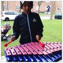 Sansa-Rimba Utomhusintsrument