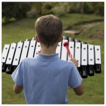 Sansa-Rimba Utomhusintsrument