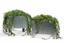 Blomlåda Flox Låg - Galvat stål